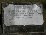 image of grave number 916954